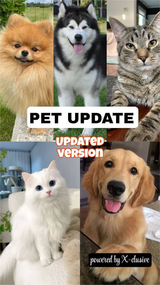 PET UPDATE FULL CLASS
